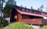 Ferienhaus Norwegen: Åseral 29664 