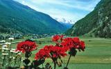 Ferienwohnung Täsch: Monte Rosa Ch3918.300.1 