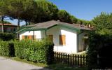 Ferienwohnung Bibione Venetien Fernseher: Ferienwohnung Mit Garten Oder ...