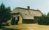 Ferienhaus Süddanemark: Blåvand Dk1055.207.1 