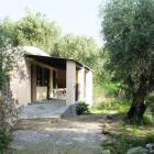 Ferienhaus Lingueglietta: Casa Olivo 