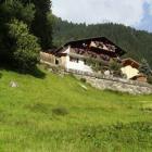 Ferienwohnung Vorarlberg: Waldheim 