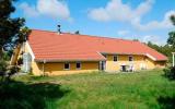 Ferienhaus Süddanemark: Blåvand Dk1055.603.1 