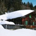 Ferienhaus Hippach: Stab-Hütte 