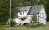 Ferienhaus Norwegen: Åseral 33047 