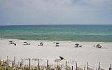 Ferienwohnung Usa: Beach House Condominium B303B Us3020.1384.1 