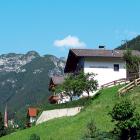 Ferienwohnung Trins Tirol: Wohnung Alpenrose 