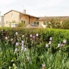 Ferienhaus Vinzelles Burgund: La Côte Des Blancs 