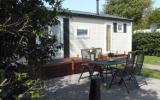 Ferienhaus Hippolytushoef: Recreatiepark Wiringherlant (Nl-1777-08) 
