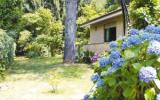 Ferienhaus Italien: Ferienhaus In Ronciglione (Ila01002) 