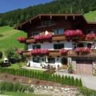 Ferienhaus Zell Am Ziller: Geisler 