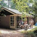 Ferienhaus Vlierden: Bospark De Bikkels 