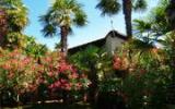 Ferienhaus Istrien Klimaanlage: Villa Palma N.1 
