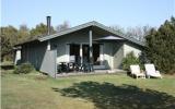 Ferienhausribe: Blåvand 206 