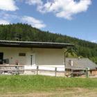 Ferienwohnung Hirschegg Steiermark: Appartment Salzstiegl 