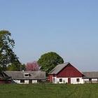 Ferienhaus Schweden: Ferienhaus Romeleåsen/ystad 