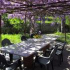Ferienwohnung Ligurien: Villa Glicine 
