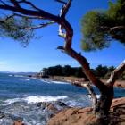 Ferienhaus Languedoc Roussillon Heizung: Les Villas/sainte Marie La Mer 