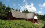 Ferienhaus Ringkobing Fernseher: Ulfborg 10092 