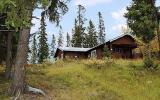 Ferienhaus Idre: Grövelsjön/idre S46712 