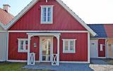 Ferienhausribe: Blåvand Dk1055.569.1 
