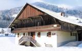 Ferienhaus Châtel Rhone Alpes: Chalet Les Merisiers (Fr-74390-27) 