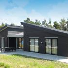 Ferienhaus Süddanemark: Ferienhaus Blåvand 