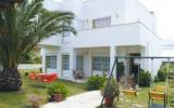 Ferienhaus Nazaré Leiria: Ferienhaus In Nazaré (Ptm01020) 