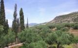 Ferienwohnung Agios Nikolaos Klimaanlage: Agios Nikolaos 11109 Pel Mani 