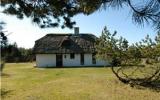 Ferienhaus Ringkobing Fernseher: Ulfborg 10022 