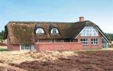 Ferienhaus Süddanemark: Blåvand Dk1055.632.1 