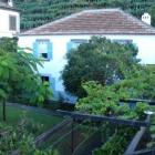 Ferienhaus Madeira Terrasse: Objektnummer 719241 