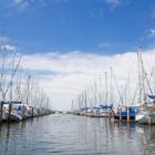 Ferienhaus Noord Holland Terrasse: Objektnummer 471542 