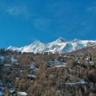 Ferienwohnung Saas Grund: Objektnummer 184943 