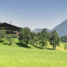 Ferienhaus Tirol: Objektnummer 249805 