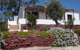 Landhaus Portugal: Hütte In Der Algarve, Wunderschöne Ländliche Gegend ...