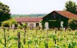 Landhaus Sigoulès Backofen: Moderne Haus In Frankreich In Weinregion Mit ...