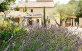 Ferienvilla Provence: The Mediterranean Dream In Provence 