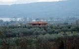 Ferienhaus Lazio: Großzügige Italienische Landvilla Im Olivenhain Mit ...