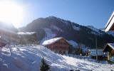 Ferienwohnung Châtel Rhone Alpes Geschirrspüler: Stilvolles Ski- ...