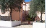 Ferienwohnung Mallorca: Ideales Ferienappartement 